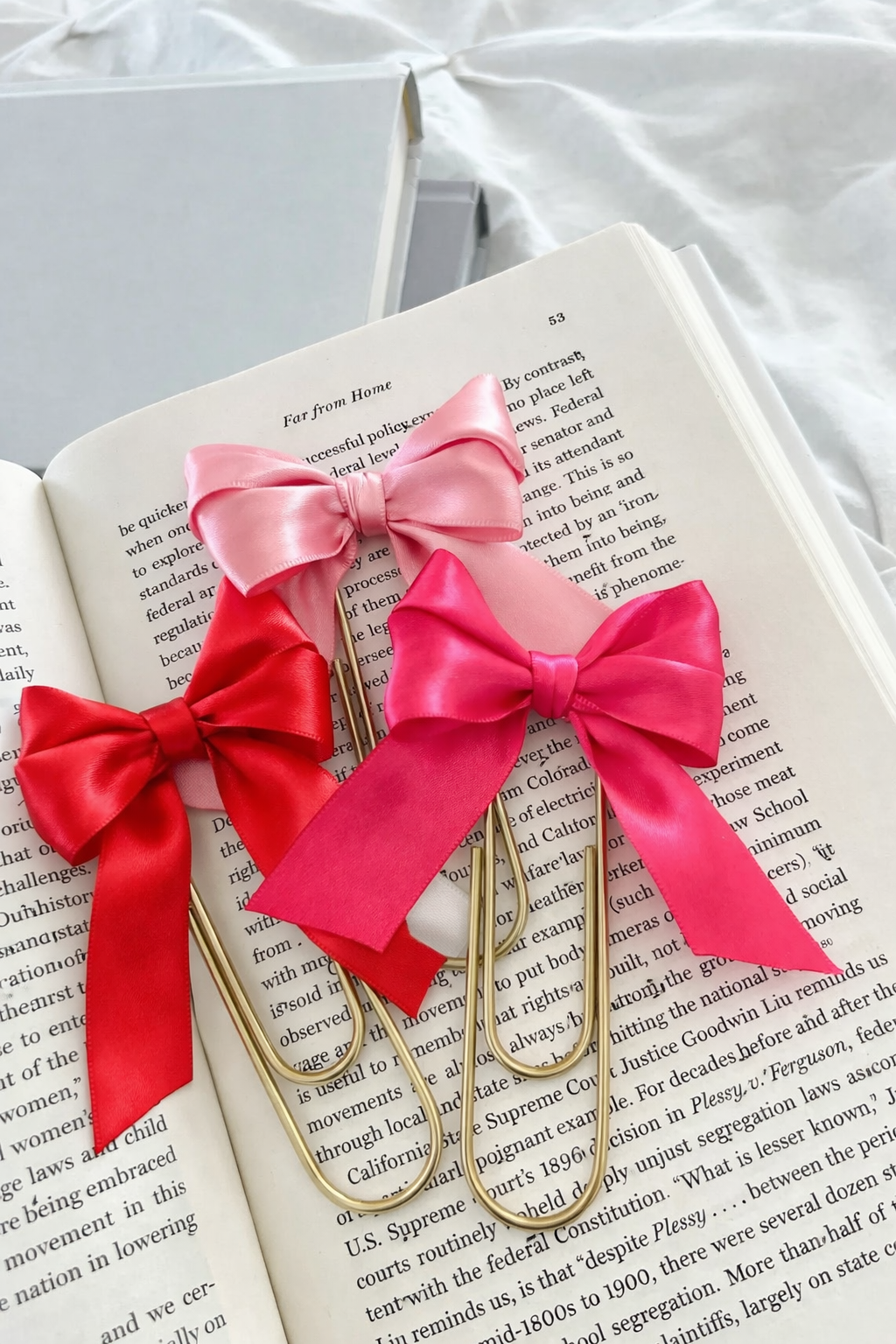 Coquette Bookmark - Valentines Day Gift for Readers